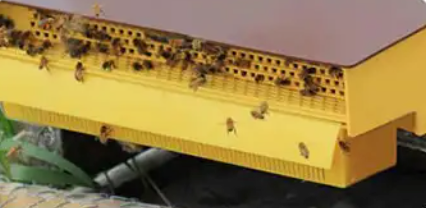 Bug Farmer™ External Hive Mount Plastic Pollen Trap: