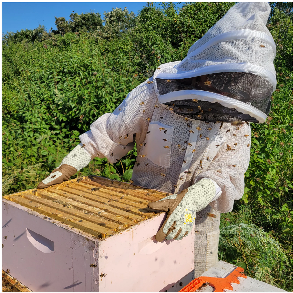 APIS TACTICAL HEAVY DUTY BEEKEEPING GLOVES