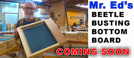 MR. ED'S  Beetle Busting Bottom Board