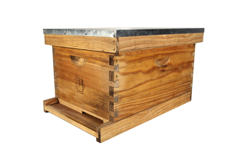 Bug Farmer™ 8 Frame Hive Standard Beehive