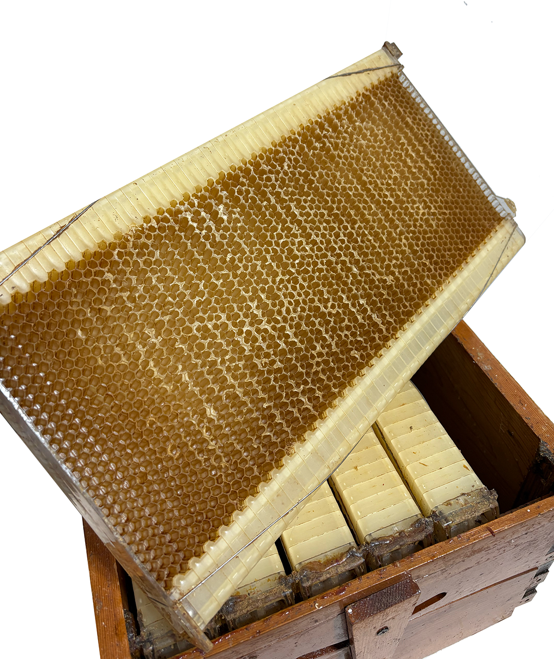 (USED) Flow Hive Equipment
