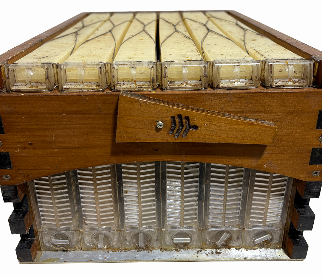 (USED) Flow Hive Equipment