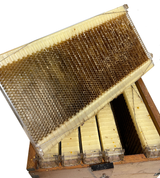 (USED) Flow Hive Equipment