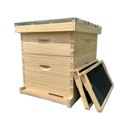 10 Frame Dadant Style 2 Layer Beehive