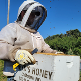Apis Tactical PRO Beekeeping Gloves